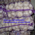 Prompt Shipment Normal/Pure White Garlic